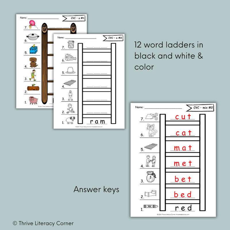 CVC Words - Word Chains & Word Ladders Worksheets 2